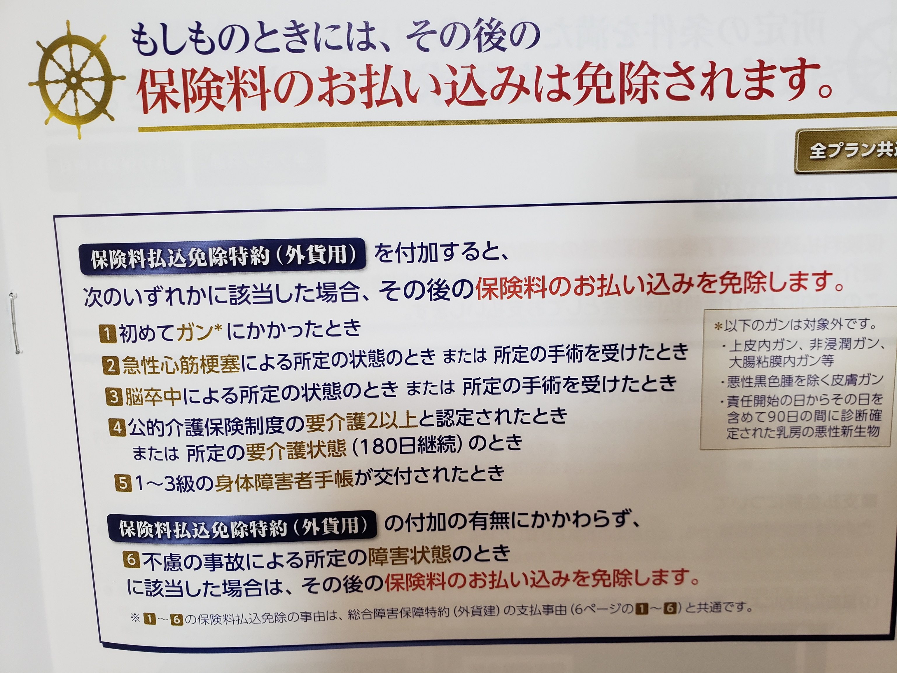 子宮頸部異形成という病気で保障を準備したい人 ご相談ください Eggplant Official Site